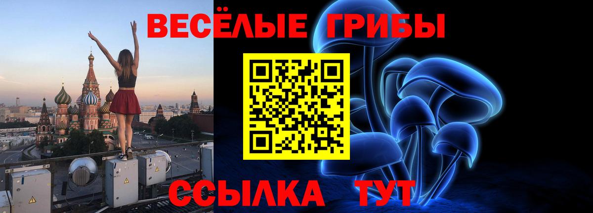 Псилоцибиновые грибы Cubensis Усинск